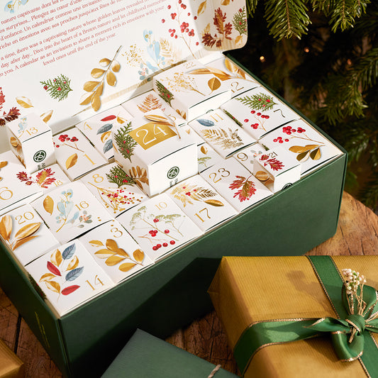 LIMITED EDITION Adventski kalendar 2023