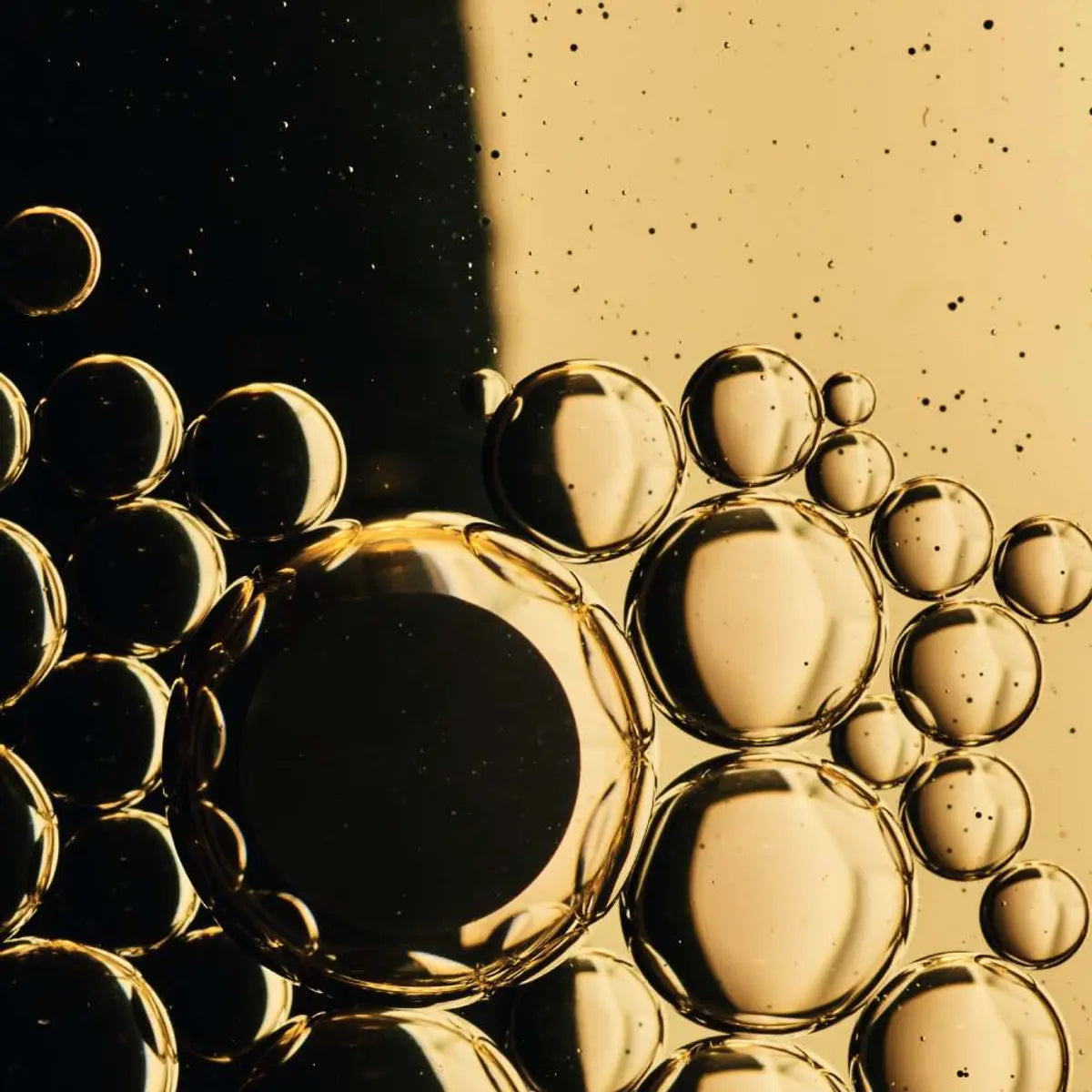 Maskara Intense Métamorphose crna